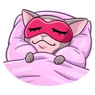 😴 kot, śpiący, opaska na oczy, słodki, zwierzę whatsapp sticker