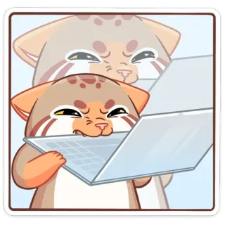 😤 gato, portátil, ordenador, pegatina, animal, tecnología, disgusto, internet telegram sticker