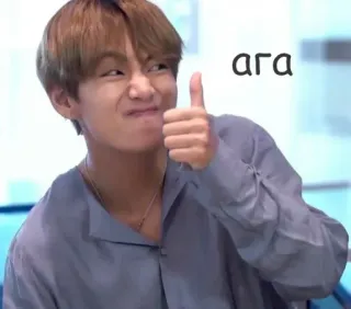 👍 ara telegram sticker