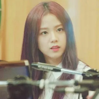 ❣ Jisoo kpop, singer, blackpink, musician, idol, korean telegram sticker