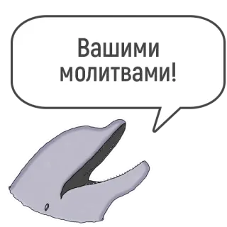 🙏 Вашими молитвами! delfín, bocadillo, ruso, oraciones, animal whatsapp sticker