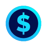 💸