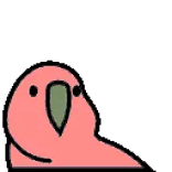 🦜 vogel, papegaai, schattig, cartoon, roze, dier telegram sticker