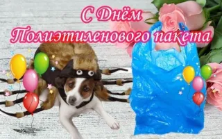🛍 С Днём Полиэтиленового Пакета dog, spider costume, plastic bag, balloons, flowers, greeting, celebration telegram sticker