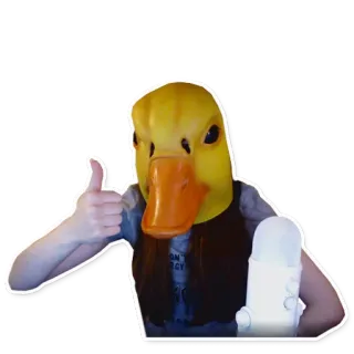 👍 anatra, maschera, pollice in su, persona, costume telegram sticker