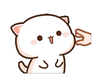 😊 Katze, niedlich, Tier, Pfirsich, kawaii telegram sticker