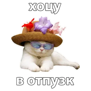 👒 хочу в отпузк cat, vacation, sunglasses, hat, flowers, travel whatsapp sticker