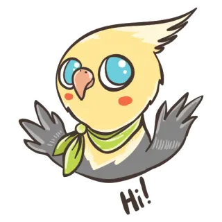 👋 Hi! uccello, calopsitta, ciao, amichevole, animale, carino telegram sticker