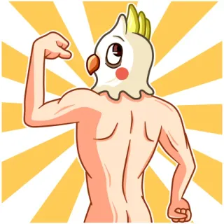 Cockatoo telegram stickers