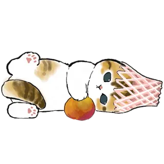🍑 猫, 小猫, 桃子, 动物, 可爱, 顽皮 telegram sticker