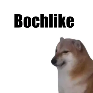 🎭 Bochlike 강아지, 밈, 도지, Bochlike telegram sticker