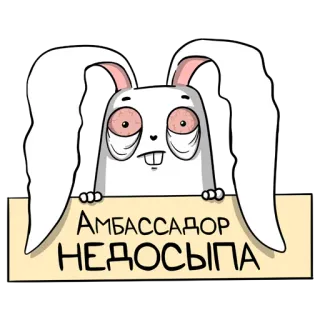 👀 АМБАССАДОР НЕДОСЫПА lapin, dessin animé, endormi, drôle whatsapp sticker