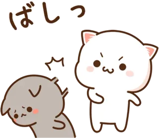 💥 ばしっ gato, animal, lindo, dibujos animados, enojado whatsapp sticker