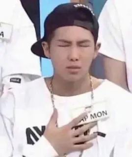 🧇 Rap Monster RAP MON persona, hombre, kpop, mueca, rapero, BTS telegram sticker