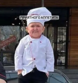 🫂 Hasbulla Magomedov ПРИЯТНОГО АППЕТИТА Hasbulla, chef, russo, cibo, cucina, Mini Khabib telegram sticker