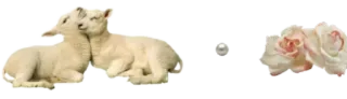 🤩 agnello, pecora, fiore, rosa, animale, natura telegram sticker