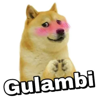 😍 Gulambi doge, perro, meme, lindo, gulambi, sonrojo, feliz telegram sticker