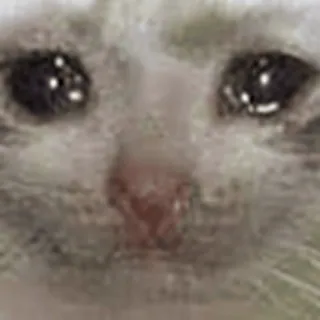 😞