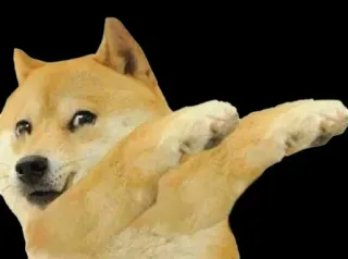 🐕 Doge perro, shiba inu, dab, meme, meme de internet, animal whatsapp sticker