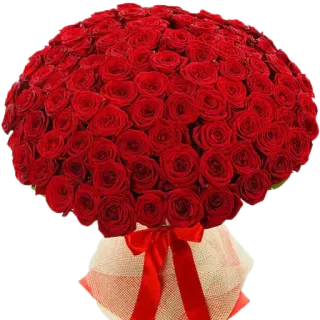 💐 розы, цветы, букет, красные розы, цветочная композиция, подарок, праздник whatsapp sticker