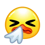 🤧