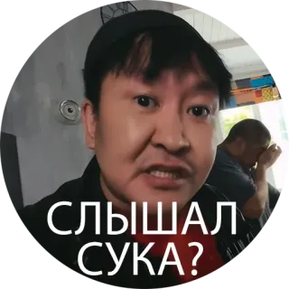 🥸 СЛЫШАЛ СУКА? zły, rosyjski, obraza, mem telegram sticker