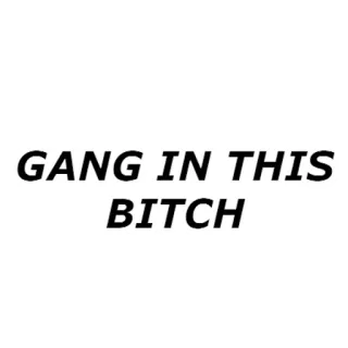 👱 GANG IN THIS BITCH gang, vulgar, offensive, slang, bitch, text whatsapp sticker
