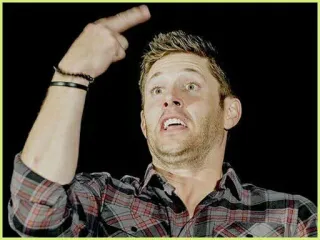 🎈 middle finger, offensive gesture, man, flannel shirt telegram sticker