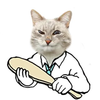 🏏 cat, doctor, paddle, humor, funny, animal, pet, veterinarian telegram sticker