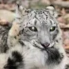 😺