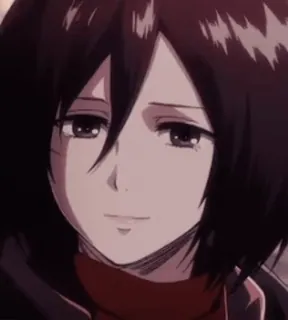 😀 Mikasa Ackerman Attack on Titan Anime, Charakter, Animation, Attack on Titan, Mikasa, Mikasa Ackerman telegram sticker