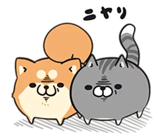 🐶 ニヤリ Hund, Katze, Tier, süß, glücklich, Cartoon telegram sticker