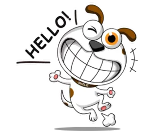 🙋 HELLO! chien, dessin animé, salutation, bonjour, animal, joyeux, sourire telegram sticker
