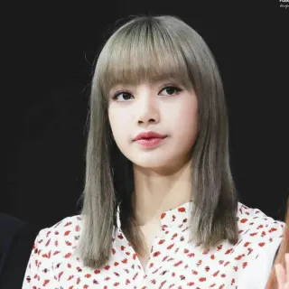 🌼 Lisa kpop, chanteur, célébrité, mode, femme, personne, beauté whatsapp sticker