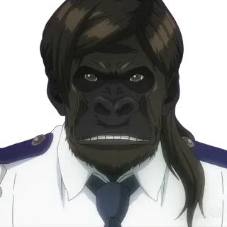🦍 whatsapp sticker