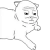😿