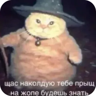 😈 щас наколдую тебе прыщ
на жопе будешь знать cat, witch, magic, curse, humor, animal, funny telegram sticker