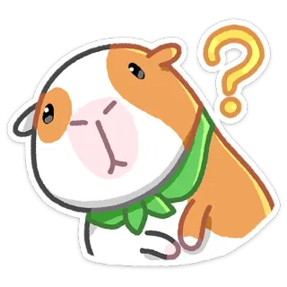 ❓ Meerschweinchen, Tier, süß, Frage, denken, verwirrt, Haustier whatsapp sticker