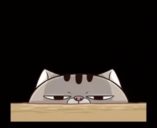 👀 cat, animal, pet, cartoon, animated, table, gray cat telegram sticker
