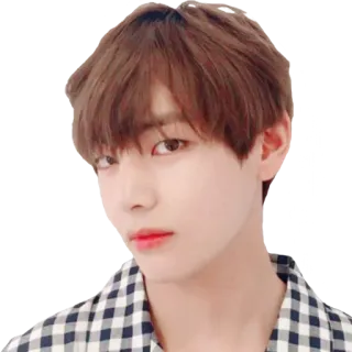 😐 V kpop, bts, idol, coreano, v, cantante, bangtan sonyeon telegram sticker