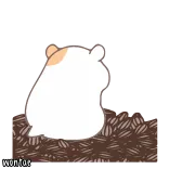✨ wontar hamster, animal, fofo, meme, engraçado, Wontar whatsapp sticker