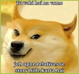 🌟 Doge Internet Meme Tu vahi hai na vrmo joh apne relatives se story hide karta hai doge, meme, funny, relatives, instagram, story, hide, social media telegram sticker