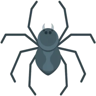 😱 паук, насекомое, паукообразный, животное, жук, существо, природа telegram sticker