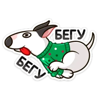 🏃‍♂️ БЕГУ БЕГУ собака, мультфильм, бег, свитер, животное, питомец, бультерьер telegram sticker