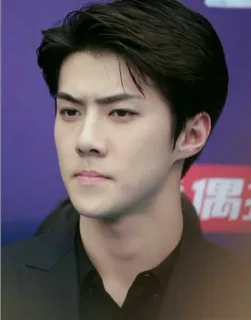 😒 мужчина, знаменитость, kpop, айдол, певец, exo telegram sticker