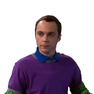 🙄 Sheldon Cooper The Big Bang Theory sheldon cooper, the big bang theory, serie tv, sitcom, personaggio, commedia, nerd telegram sticker