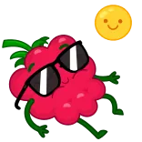 😎 framboesa, fruta, óculos de sol, legal, verão telegram sticker