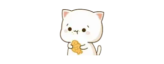 🤨 고양이, 음식, 귀여운, 만화, 카와이, 동물, 간식 telegram sticker