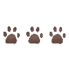 🐾