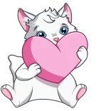 ❤️ kot, kotek, serce, miłość, słodki, zwierzę, zwierzak telegram sticker
